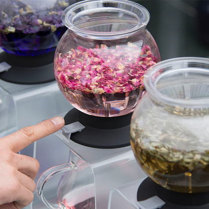Hario Largo Tea Dripper